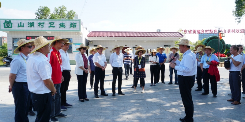 Standard Post with Image