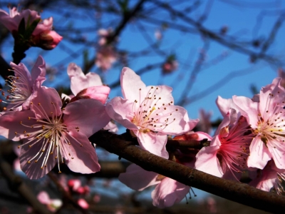 Standard Post with Image