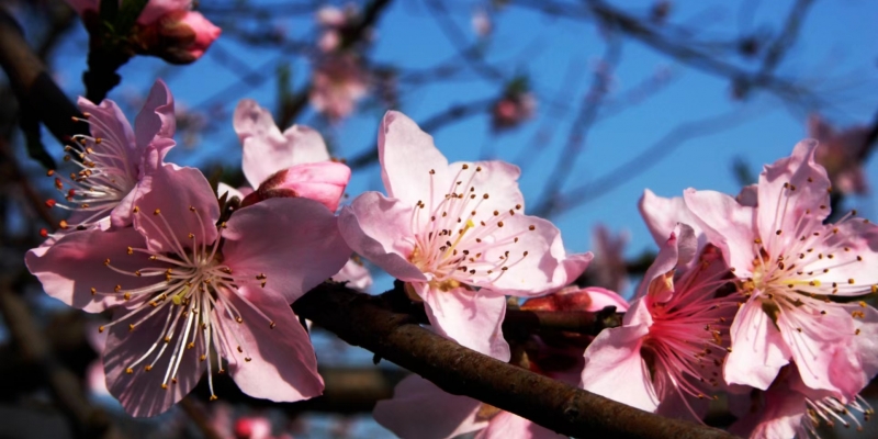 Standard Post with Image